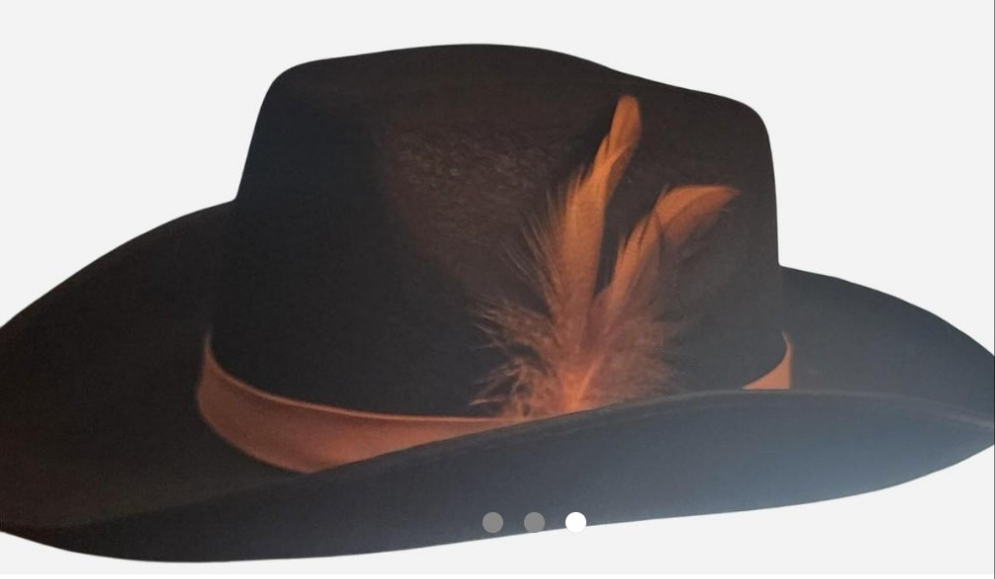 Mens  Black Fedora feathered accents