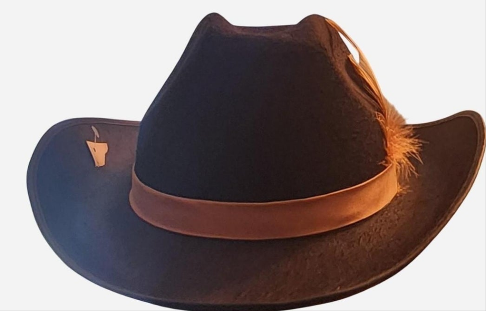 Mens  Black Fedora feathered accents