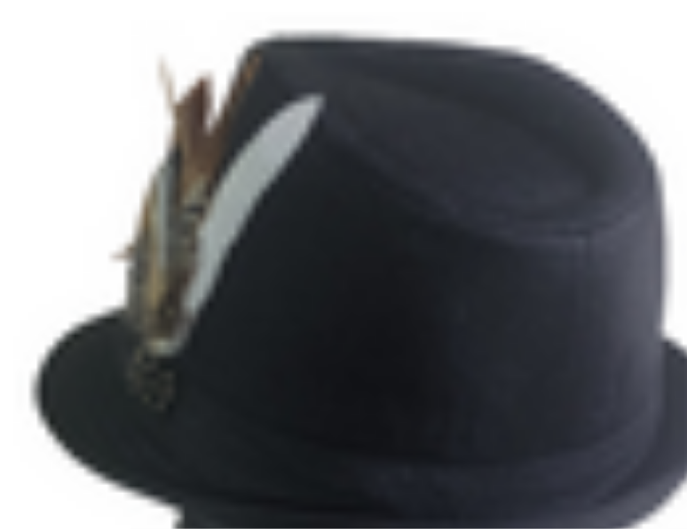 Mens fedora
