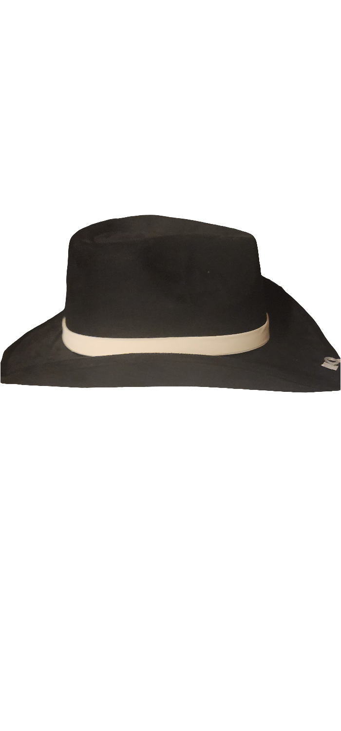 Mens Hat feather accents