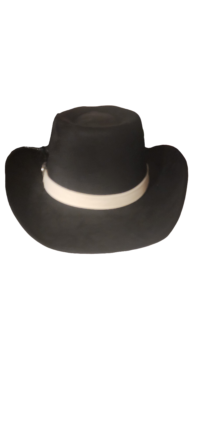 Mens Hat feather accents