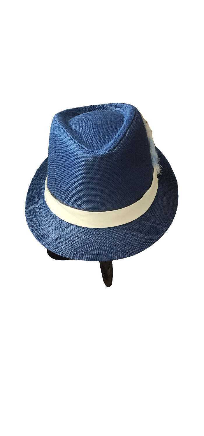 Mens Blue Fedora feather accents