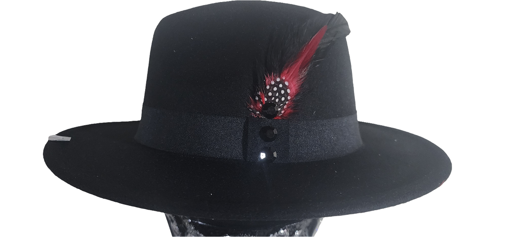 Men feather accented hat