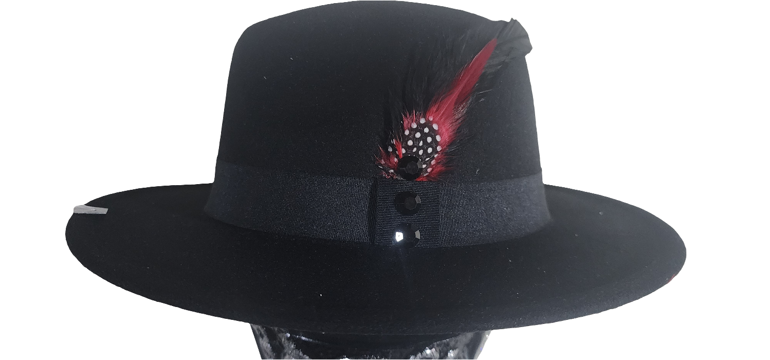 Men feather accented hat