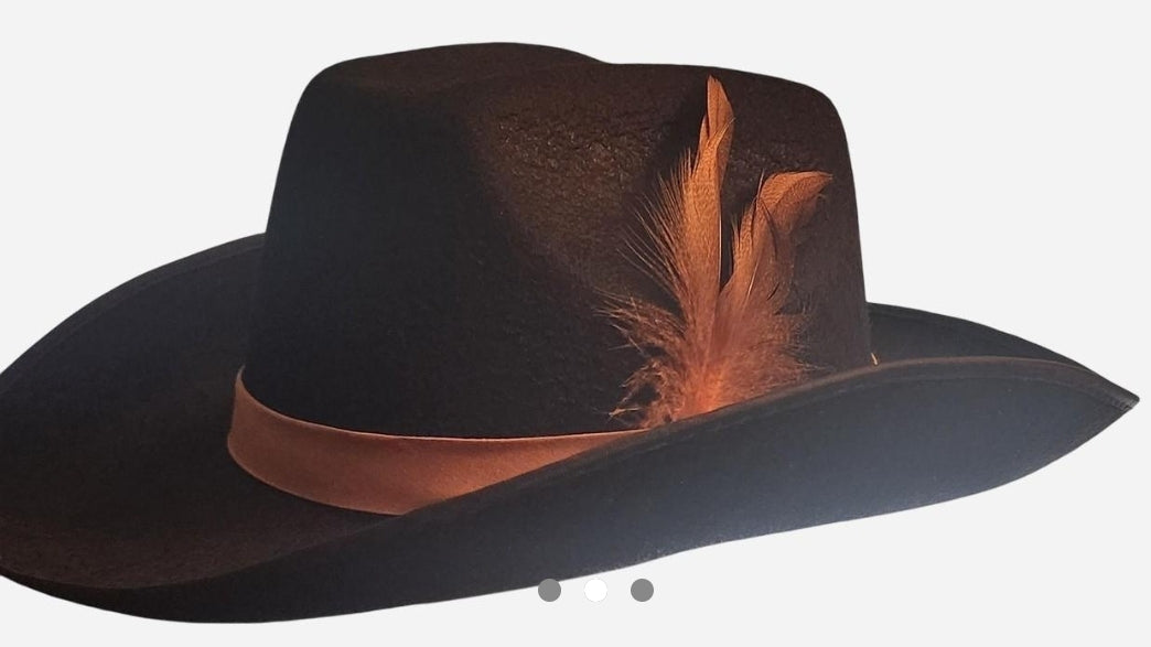 Mens  Black Fedora feathered accents